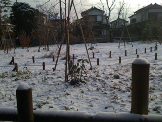 image-20110212083925.png