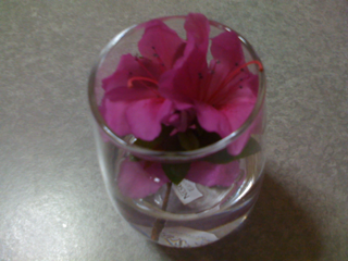 image-20110511232008.png