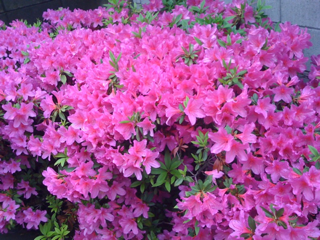 image-20110513223428.png