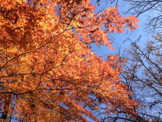 image-20111230232207.png