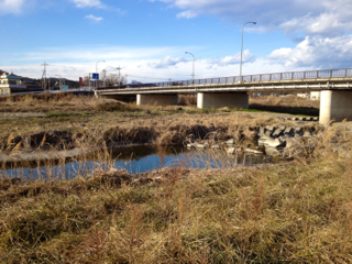 image-20120104163257.png