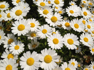 image-20130501033052.png
