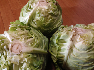 image-20130514102518.png