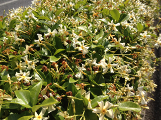 image-20130514155536.png